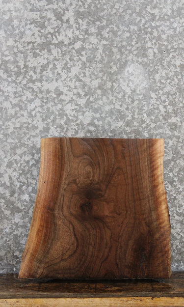 Black Walnut Charcuterie Board/Taxidermy Slab CLOSEOUT 246